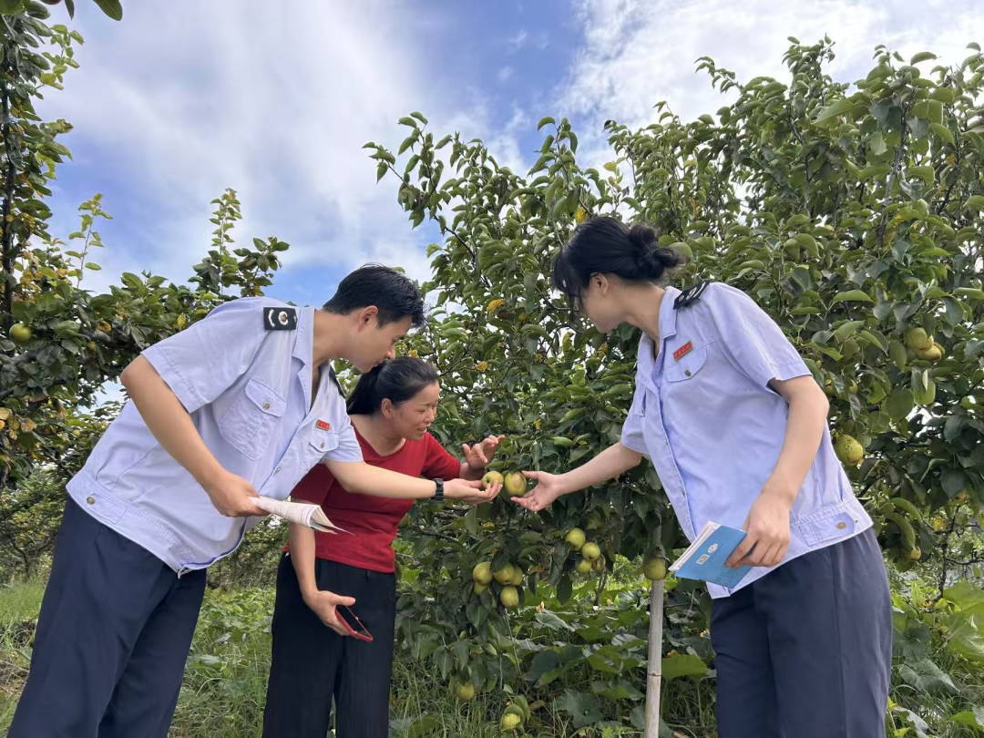 税务合规规范辅导(税务合规的规则体系)新余市 税务合规规范辅导(税务合规的规则体系)新余市