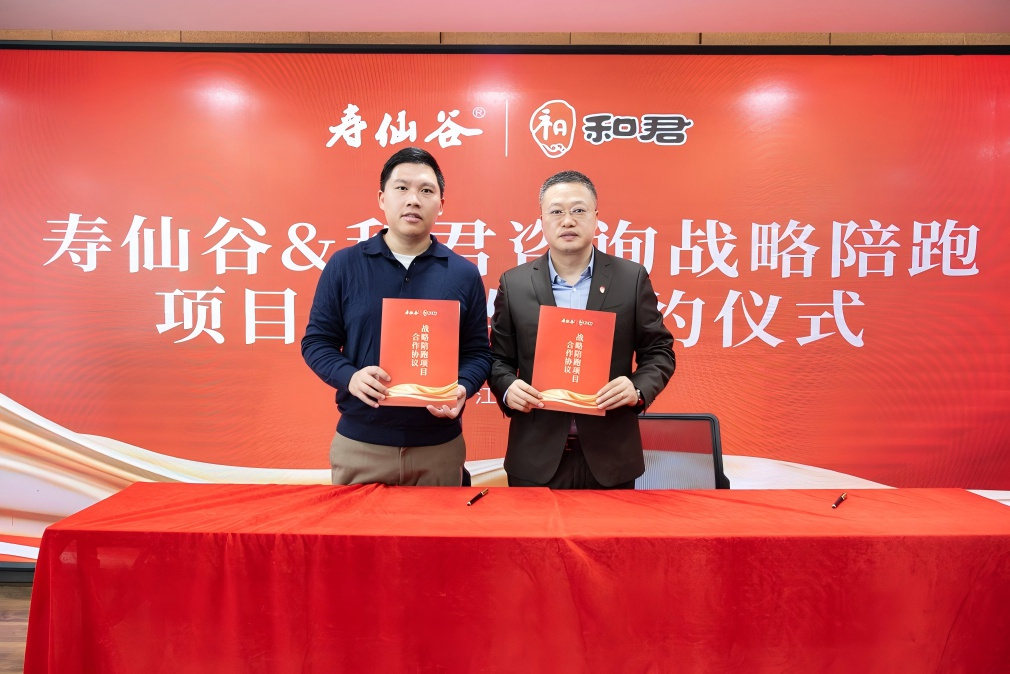 战略执行陪跑服务(战略执行五步方案案例)新余市