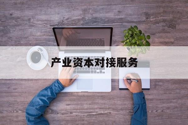 产业资本对接服务(产业资本对接服务包括哪些)新余市