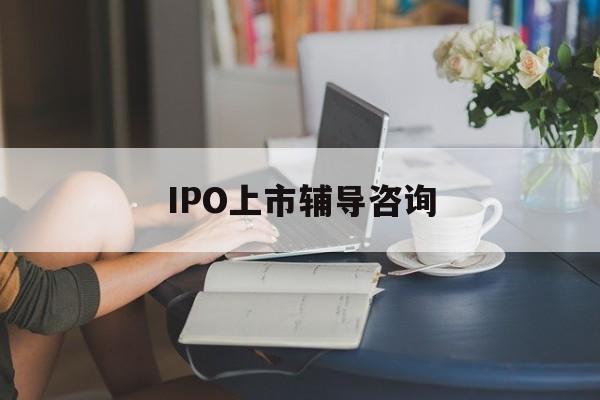 IPO上市辅导咨询(ipo上市辅导咨询公司)新余市